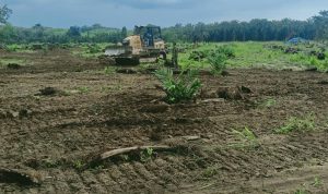 IMG_20200720_165051