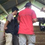 IMG_20220203_103645